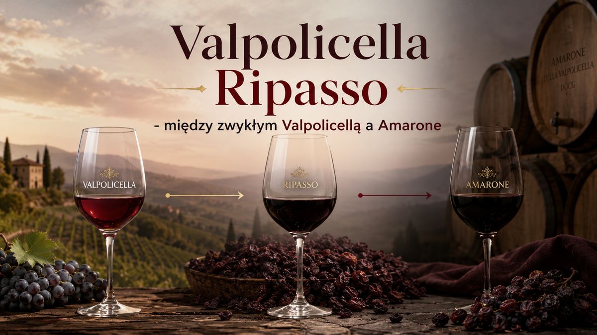 Valpolicella Ripasso – między zwykłą Valpolicellą a Amarone